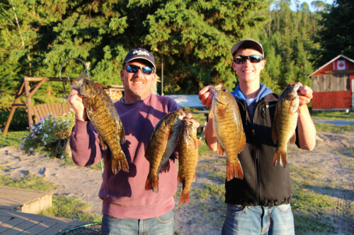 Father and Son Displaying Bass Catches