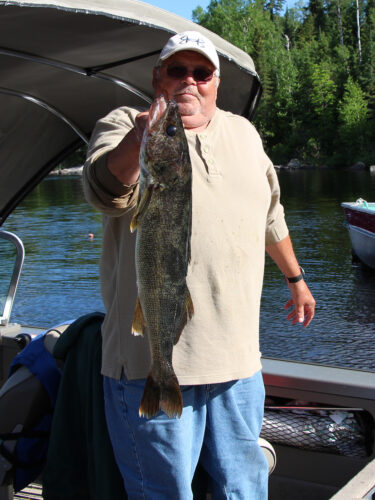 Guest Standing in Boat Holding Huge Walleye Catch